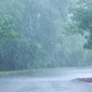 大雨のサムネイル